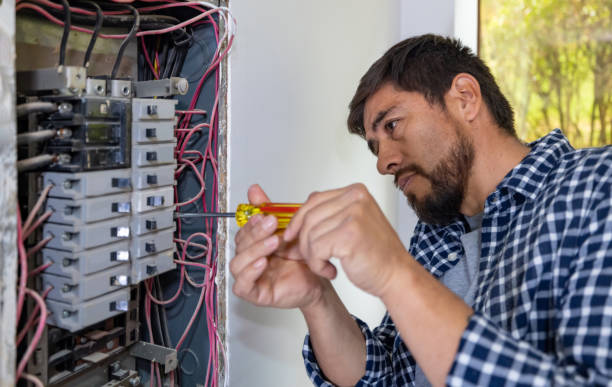 Best Electrical Troubleshooting Services  in North Branch, MN
